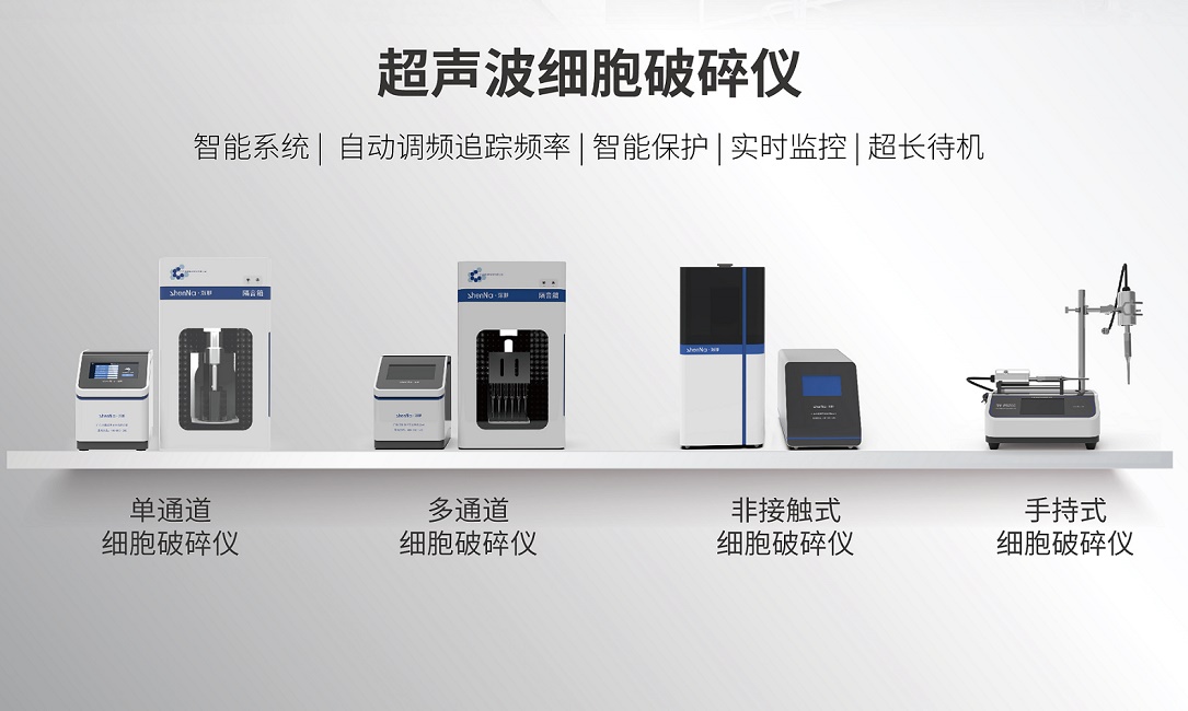 超声波细胞破碎仪在分子生物学中核酸片段破碎的应用